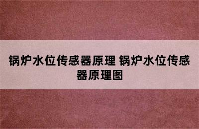 锅炉水位传感器原理 锅炉水位传感器原理图